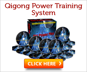 Qigong Power Training System